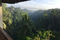 Dschungelblick Balkon Sunset Hill